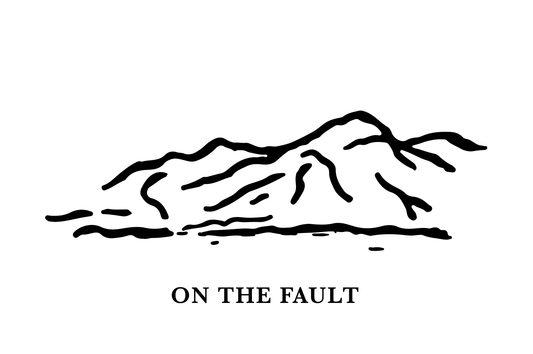 ON THE FAULT