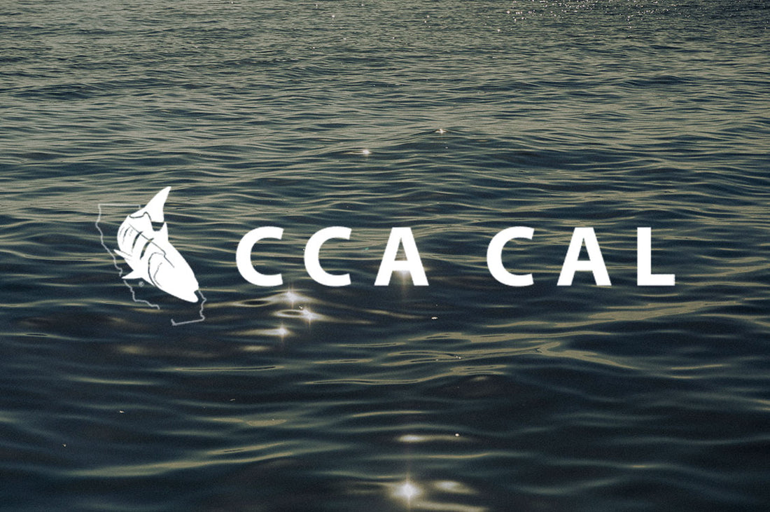 Protecting California's Coast While Ensuring Access for All. A chat with CCA California.